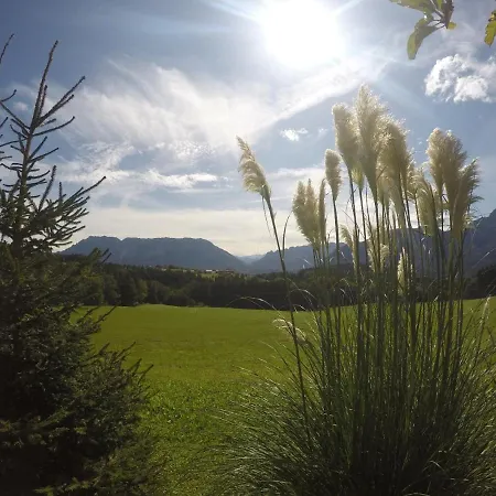 Hainbuchhof Vakantieboerderij *
