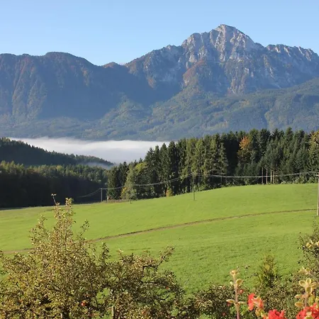 Hainbuchhof Farm stay