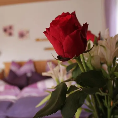 Farm stay Hainbuchhof