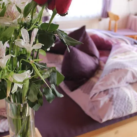 Farm stay Hainbuchhof