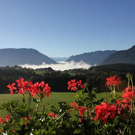 Hainbuchhof Anger